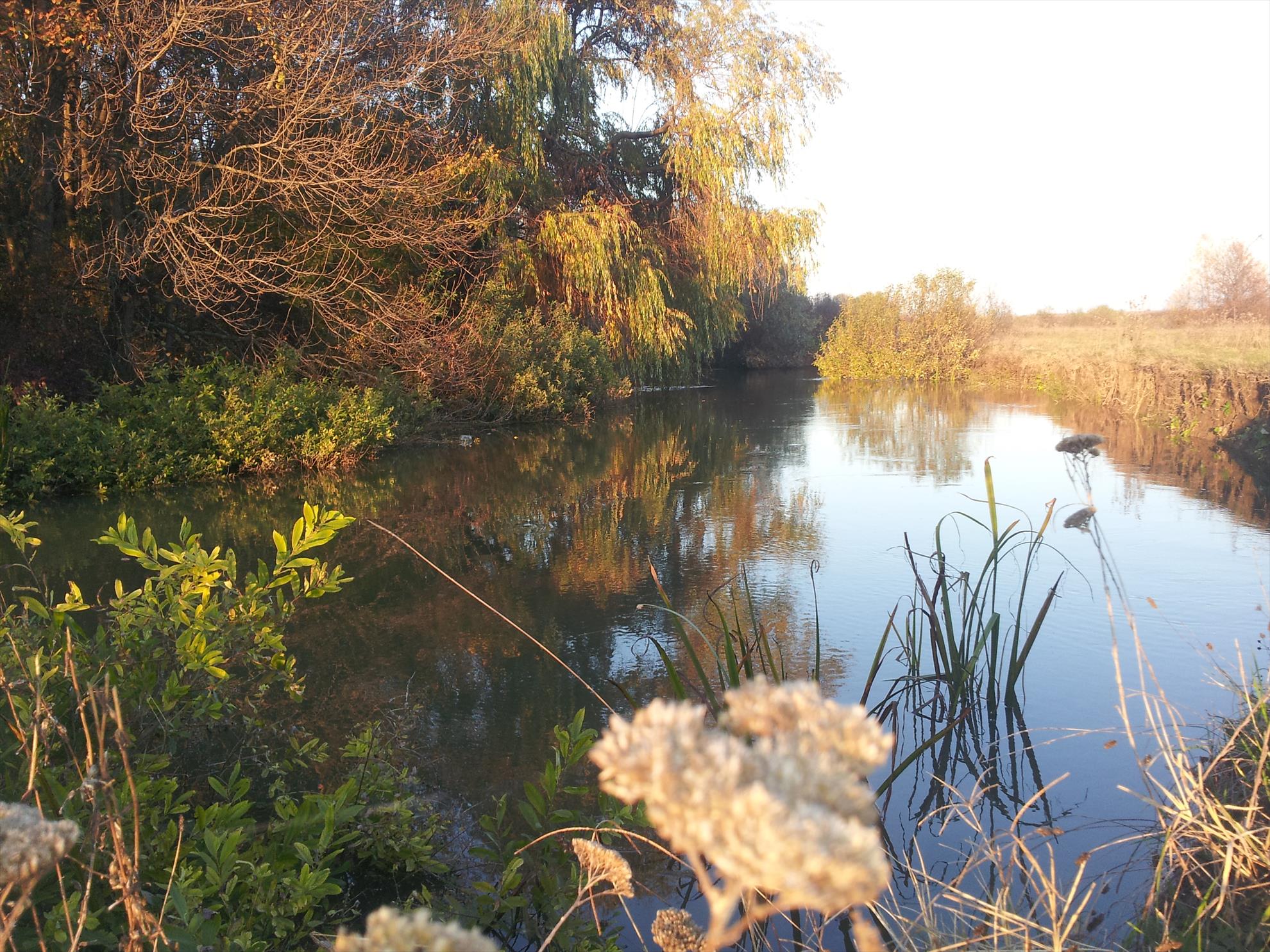 Neajlov - 20131022174232.jpg